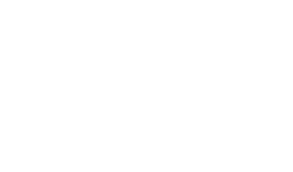 Logo BAV